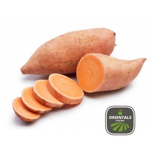 Sweet Potato Egypt Kg 