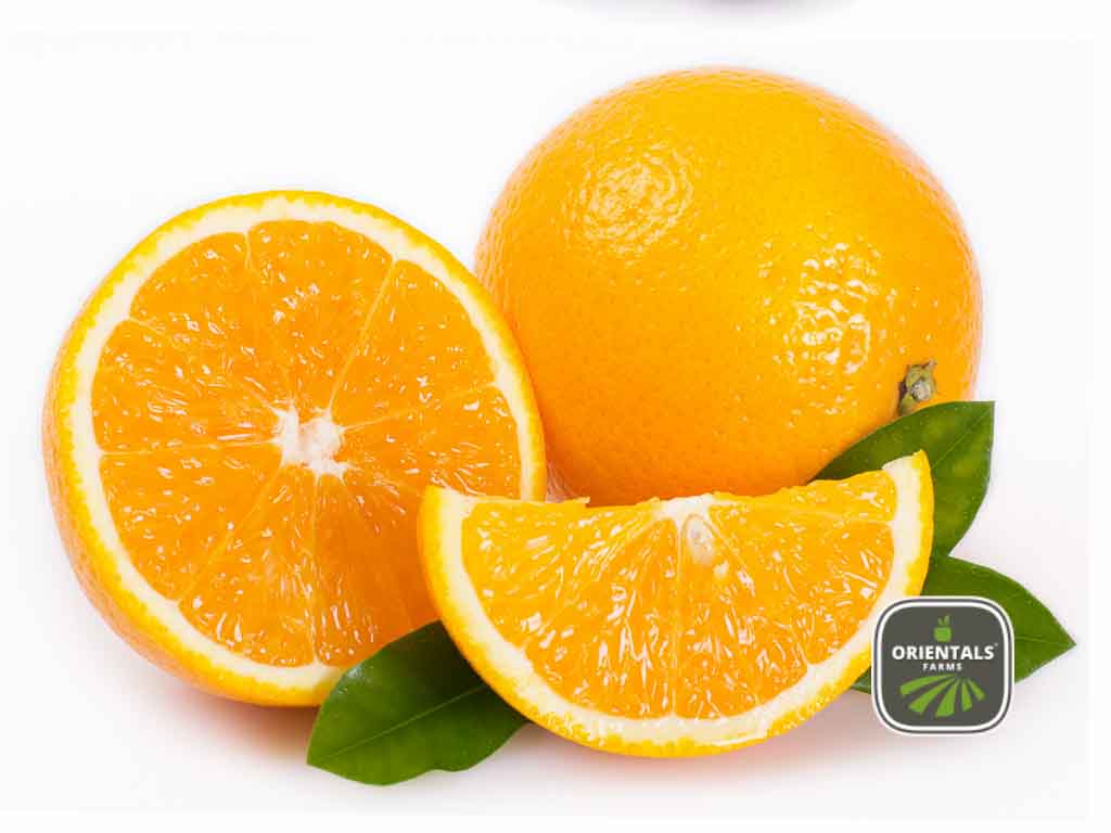 برتقال كينج 2