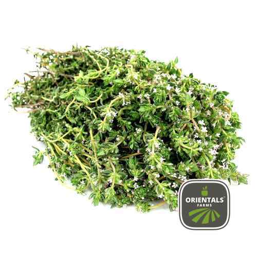 Thyme
