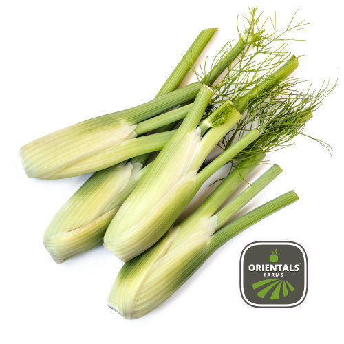 Fennel  Baby