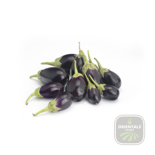 Eggplant Baby