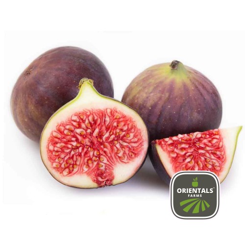 Figs
