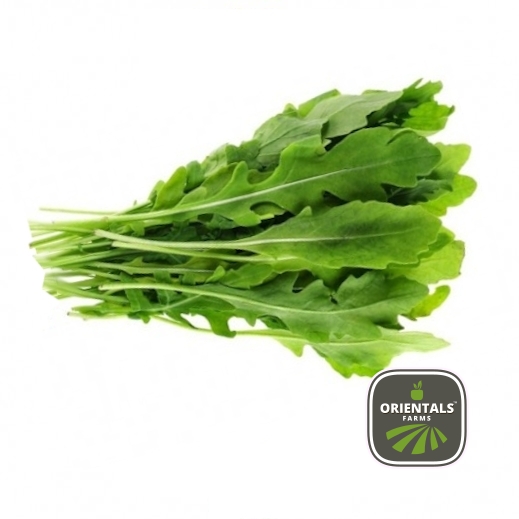 Rocca baby (Arugula)