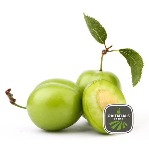 Cherry Green