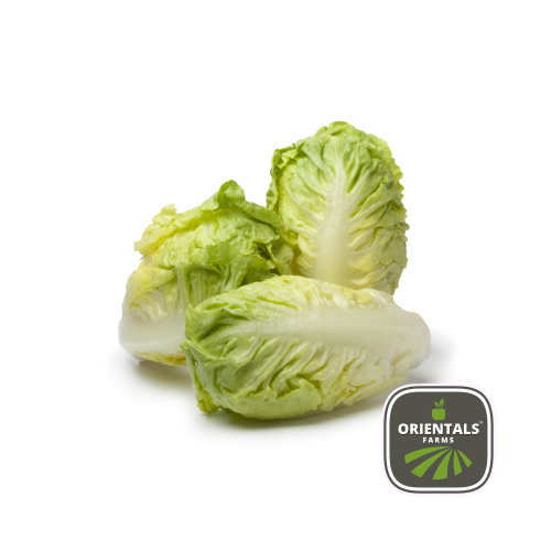 Lettuce Baby