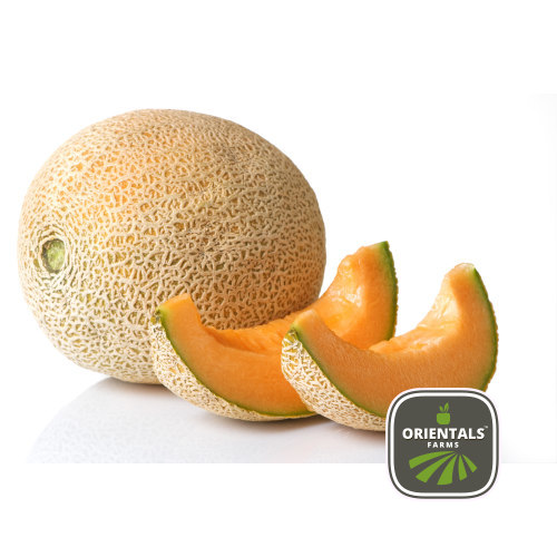 Melon cantaloupe