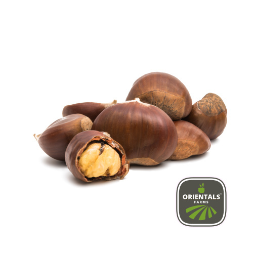 Chestnut