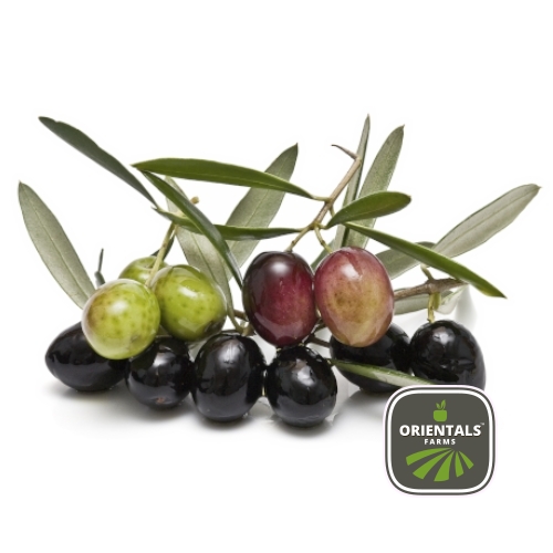 Olives
