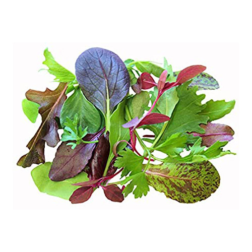 Mizuna leaves