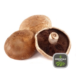 Mushroom Portobello
