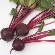 Beetroot Chioggia Imported Kg