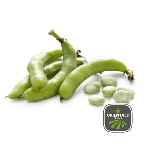 Broad Beans Malti box
