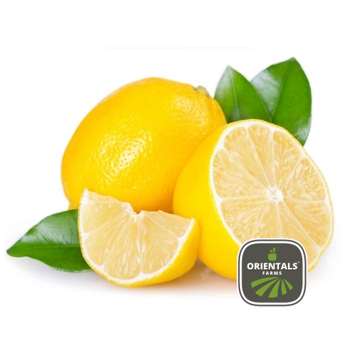 Lemon Box 