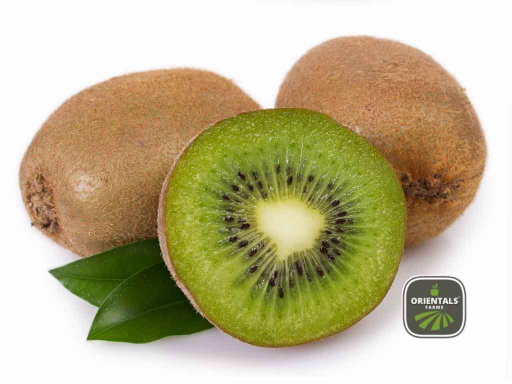 [707395] Kiwi KG