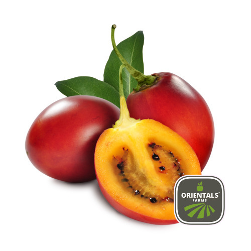 Tomatillo