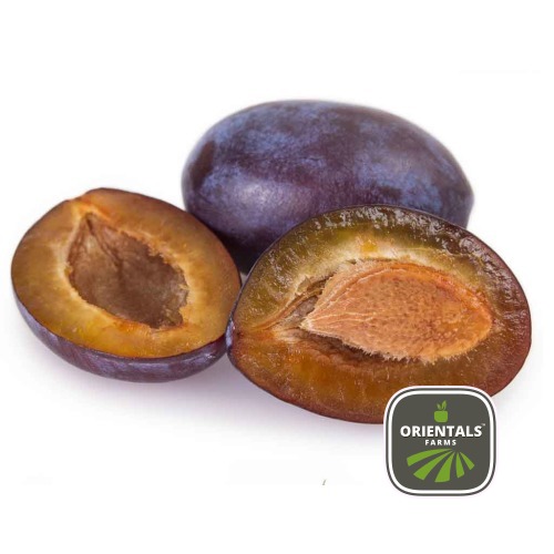 [394517] Plums Black AWJA
