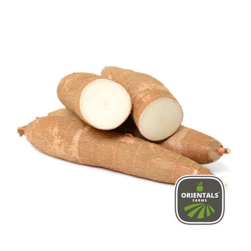 Cassava