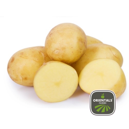 Potato Purple