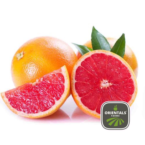Grapefruit Red